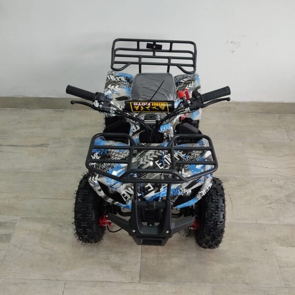 CUATRIMOTO DE 60 CC CON PARRILLA DE ESTRUCTURA METALICA